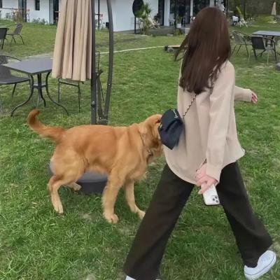 来自谁的启示